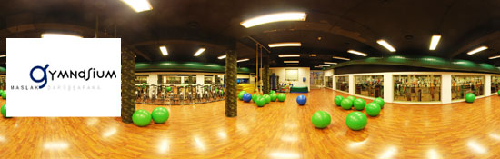 Darüşşafaka Gymnasium Sport Center