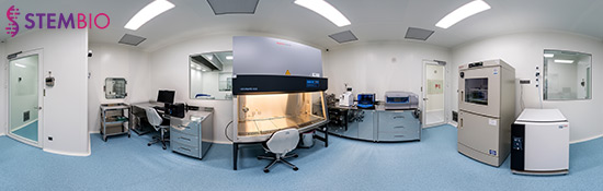 stembio